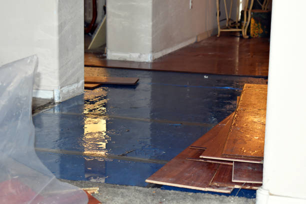 Professional Flood Cleanup technician working in Port Jefferson Station, NY